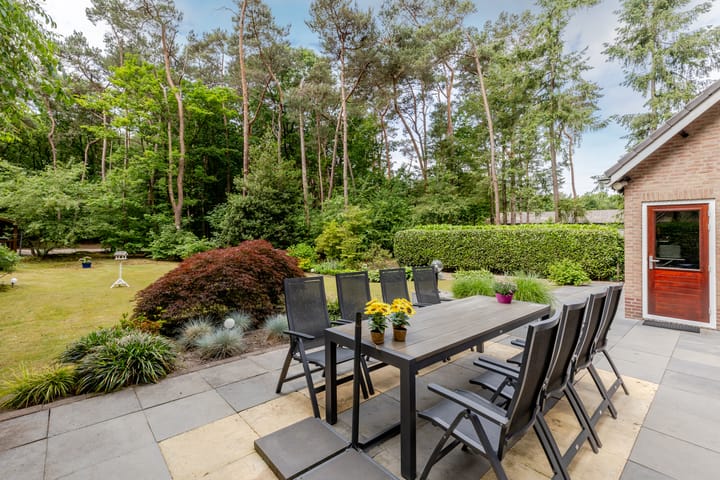 Foto 34 van Hoge Schijf 15