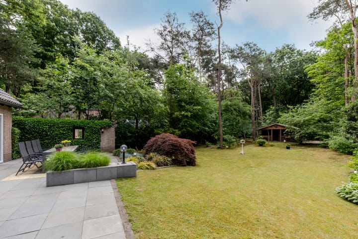 Foto 35 van Hoge Schijf 15