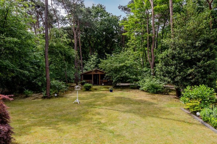 Foto 36 van Hoge Schijf 15