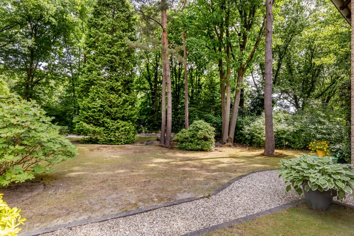 Foto 39 van Hoge Schijf 15