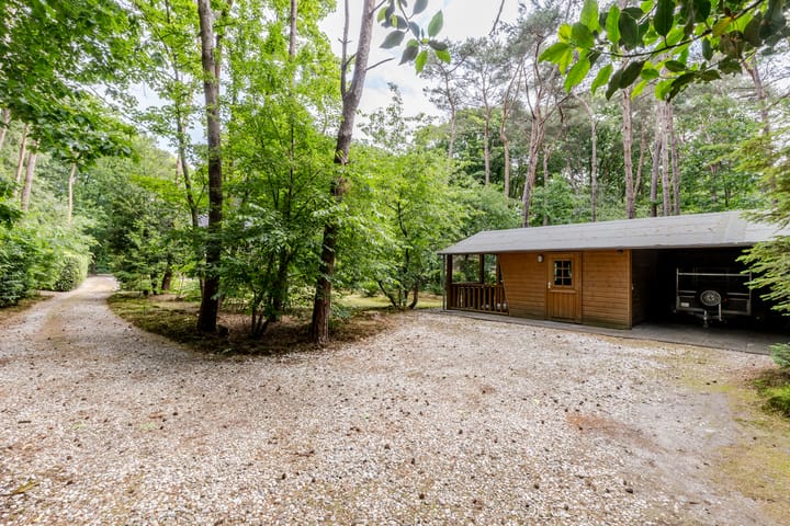 Foto 40 van Hoge Schijf 15