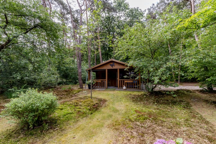 Foto 42 van Hoge Schijf 15