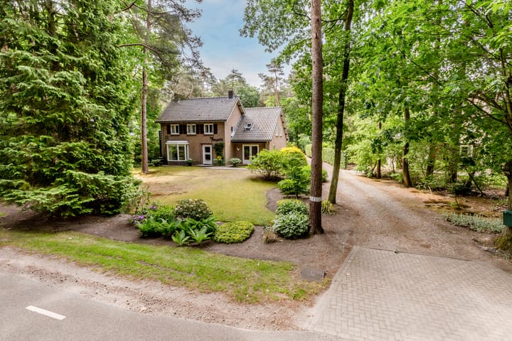 Foto 46 van Hoge Schijf 15