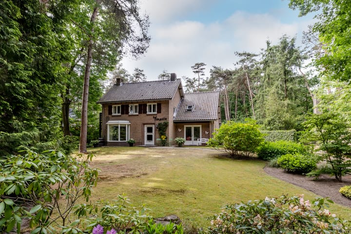 Foto 47 van Hoge Schijf 15