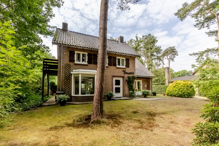 Foto 49 van Hoge Schijf 15