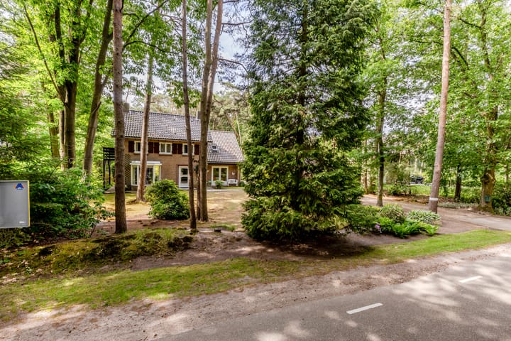 Foto 50 van Hoge Schijf 15