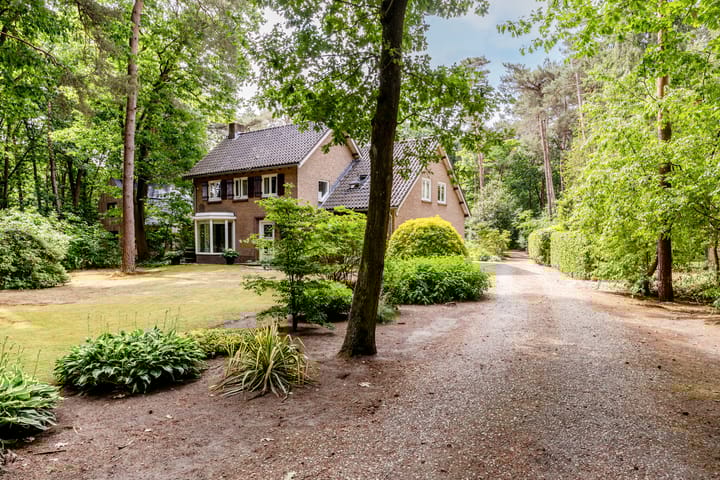 Foto 51 van Hoge Schijf 15