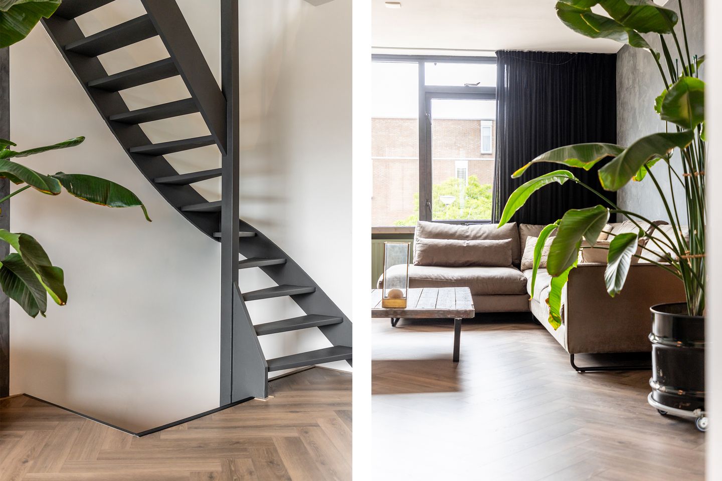 Photo 20 of Schokker 8