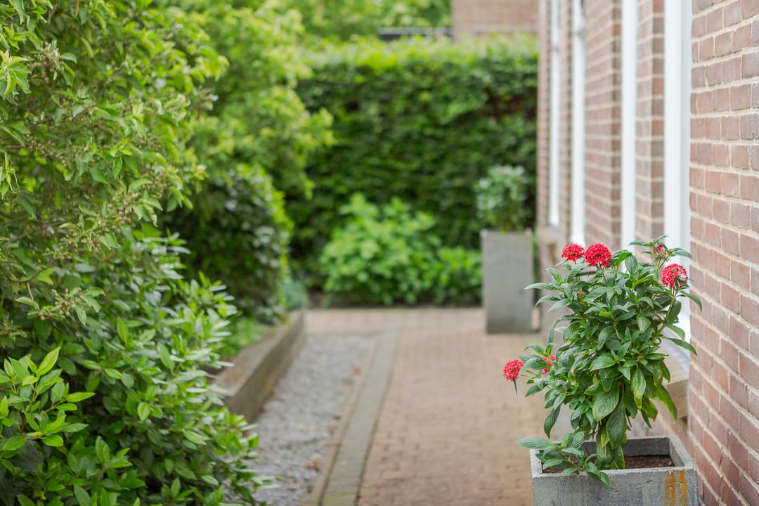 Foto 7 van Idzardaweg 62