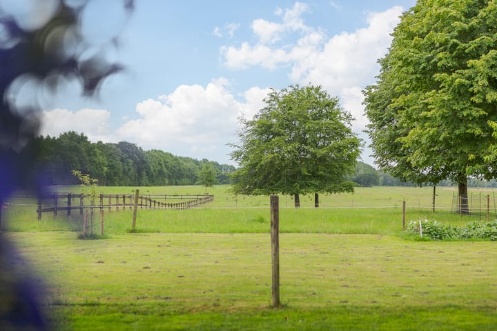 Foto 55 van Idzardaweg 62