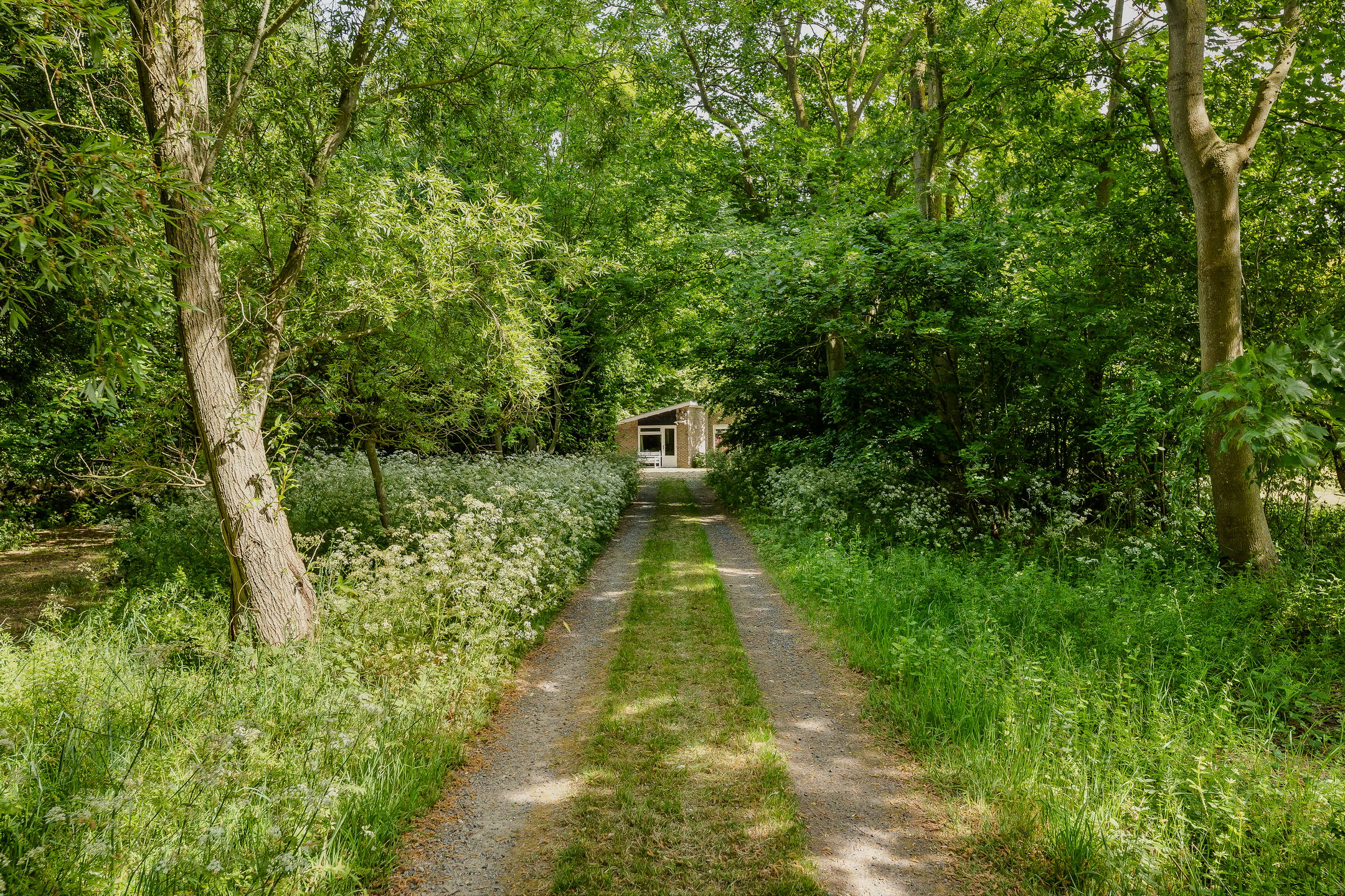 Photo 33 of Zuidweg 11