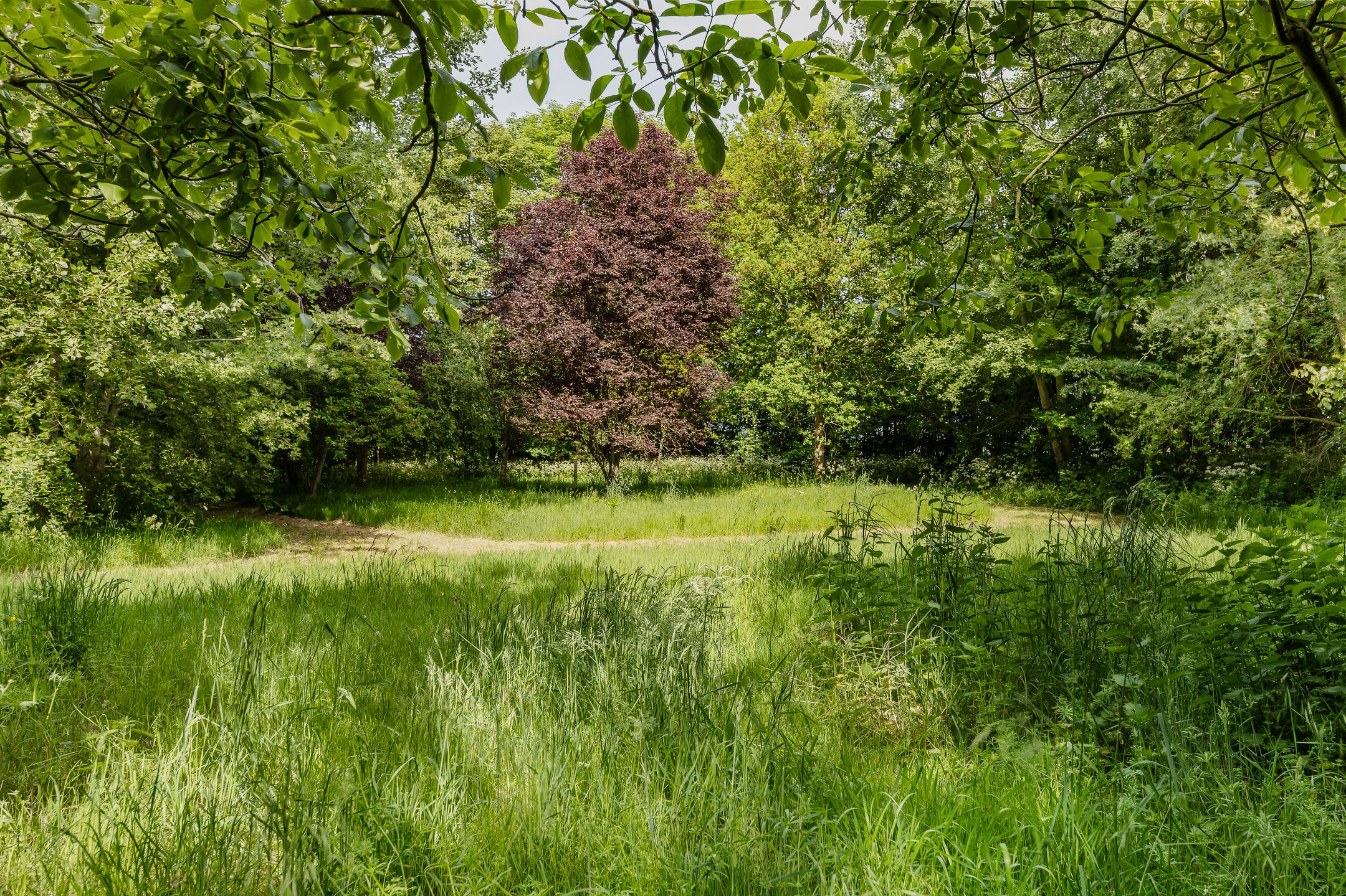 Photo 39 of Zuidweg 11