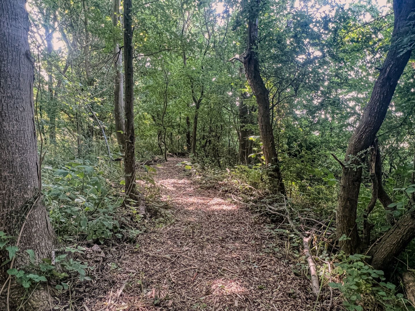 Photo 40 of Zuidweg 11