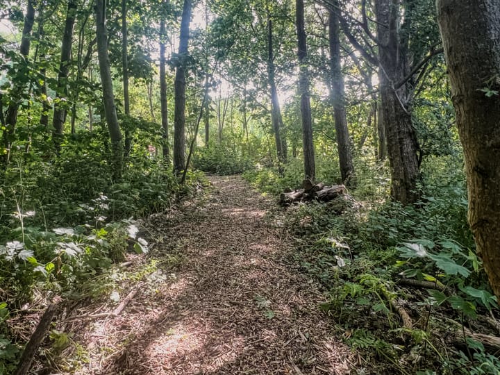 Foto 41 van Zuidweg 11