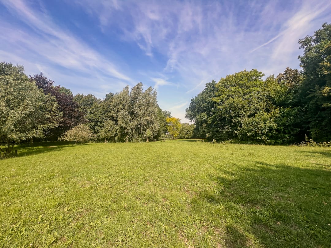 Photo 43 of Zuidweg 11