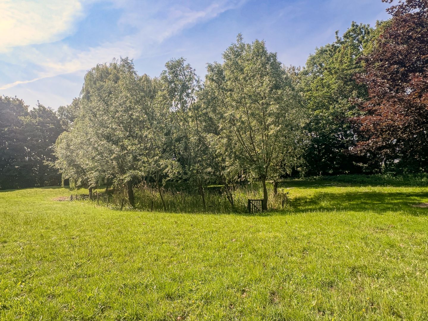 Photo 44 of Zuidweg 11