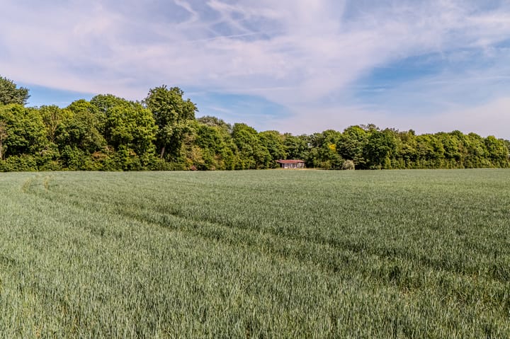 Foto 45 van Zuidweg 11