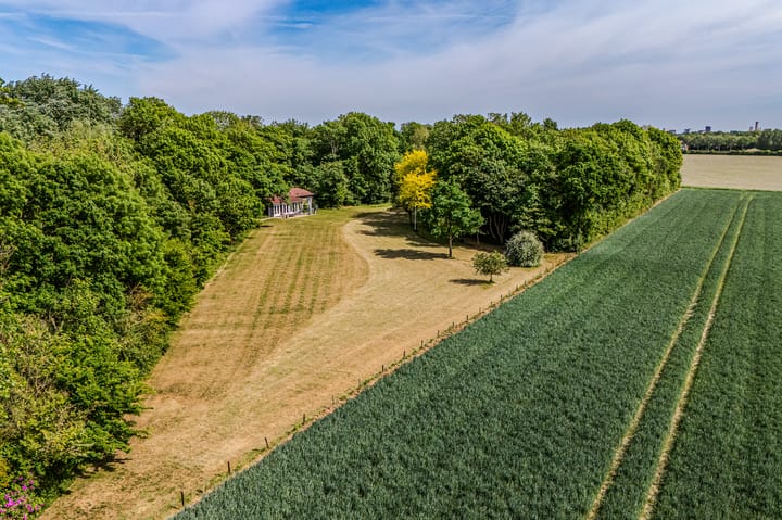 Foto 46 van Zuidweg 11