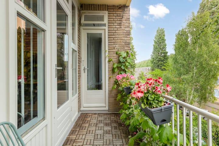 Foto 16 van Berthelotstraat 2-2