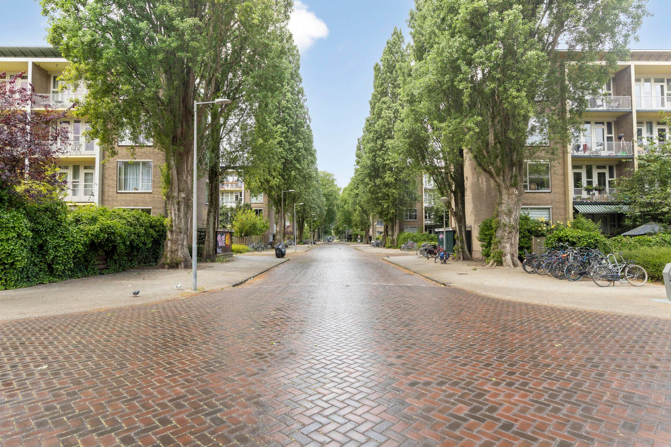 Photo 27 of Berthelotstraat 2-2