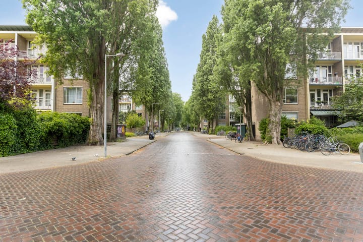 Foto 27 van Berthelotstraat 2-2