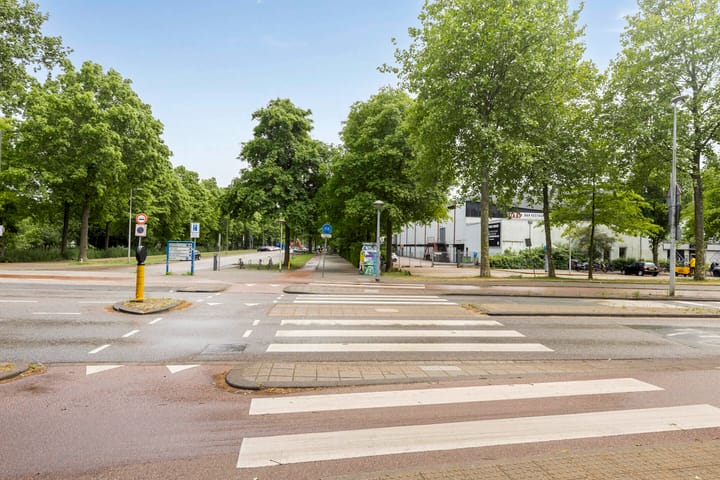 Foto 32 van Berthelotstraat 2-2