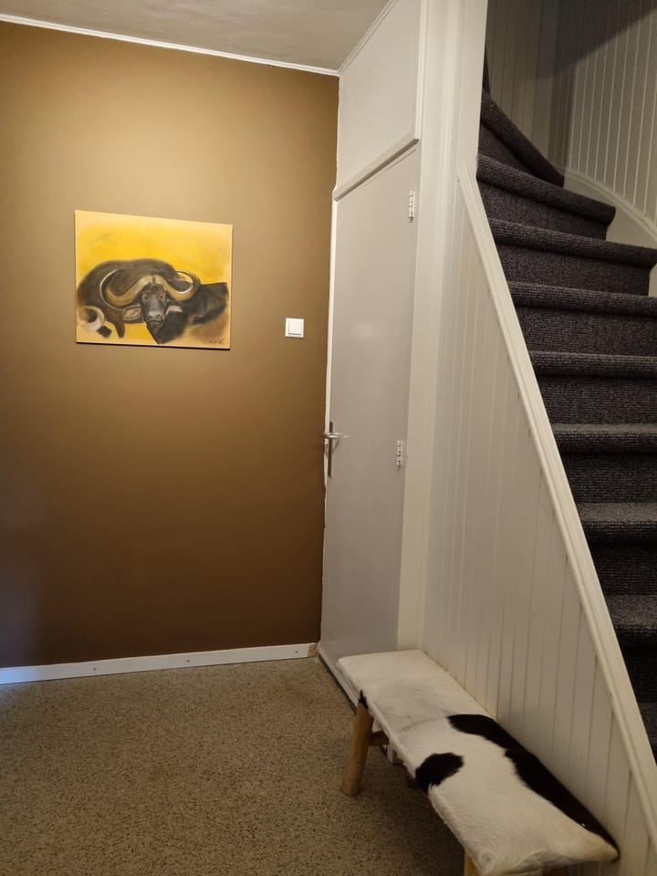 Foto 10 van Balladestraat 12