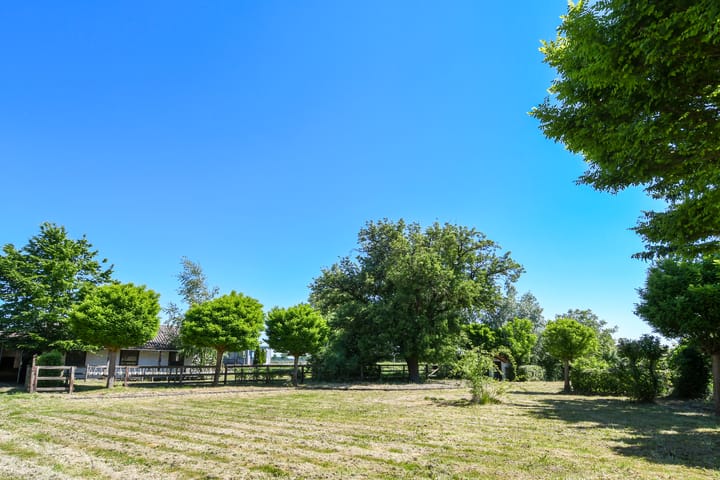 Photo 45 of Mortel 33