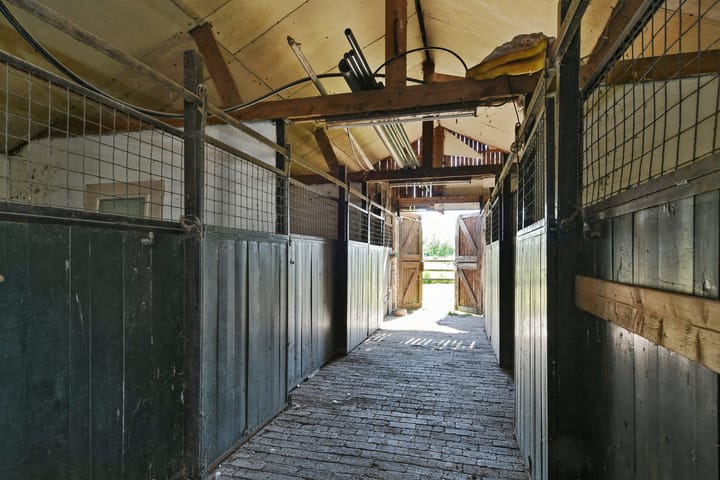 Photo 56 of Mortel 33