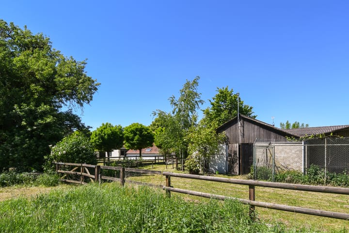 Photo 57 of Mortel 33