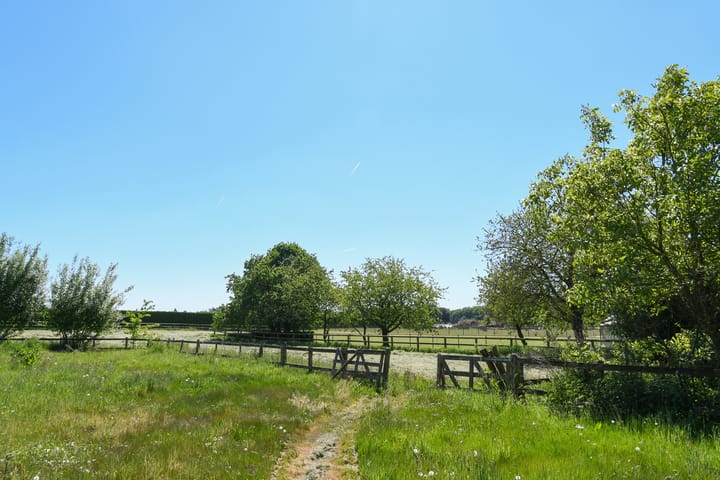 Photo 63 of Mortel 33