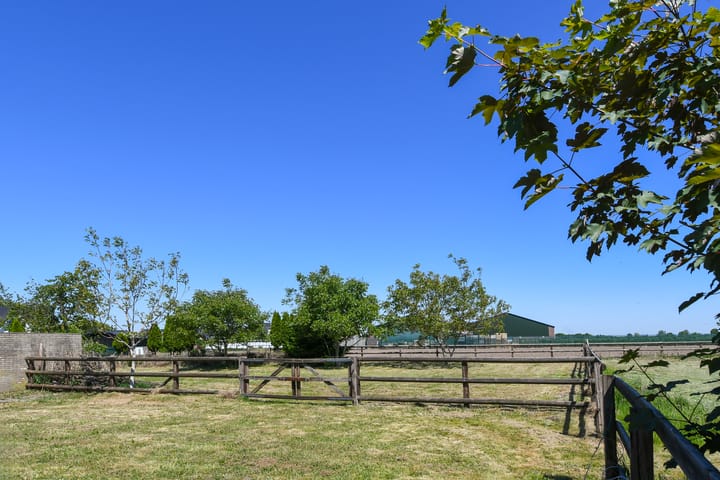 Photo 68 of Mortel 33