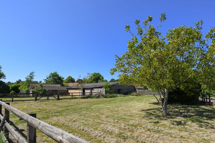 Photo 69 of Mortel 33