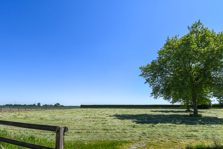 Photo 70 of Mortel 33