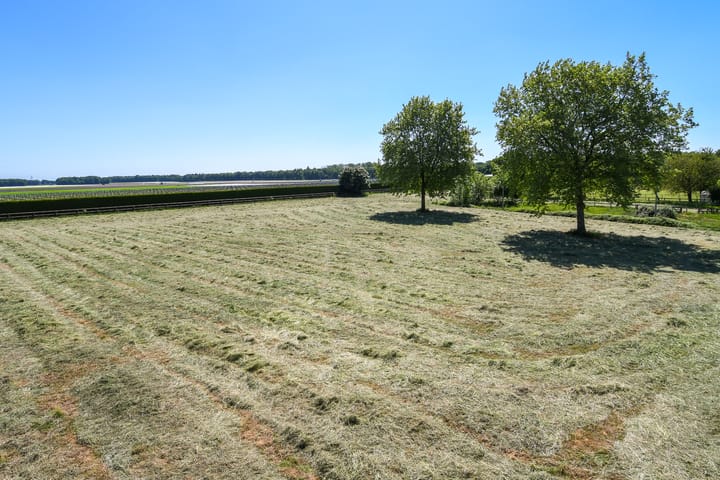 Photo 71 of Mortel 33