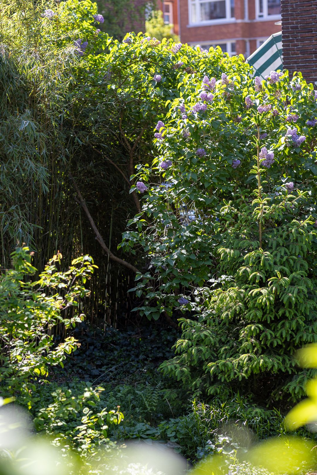 Foto 38 van Statensingel 149-BGL