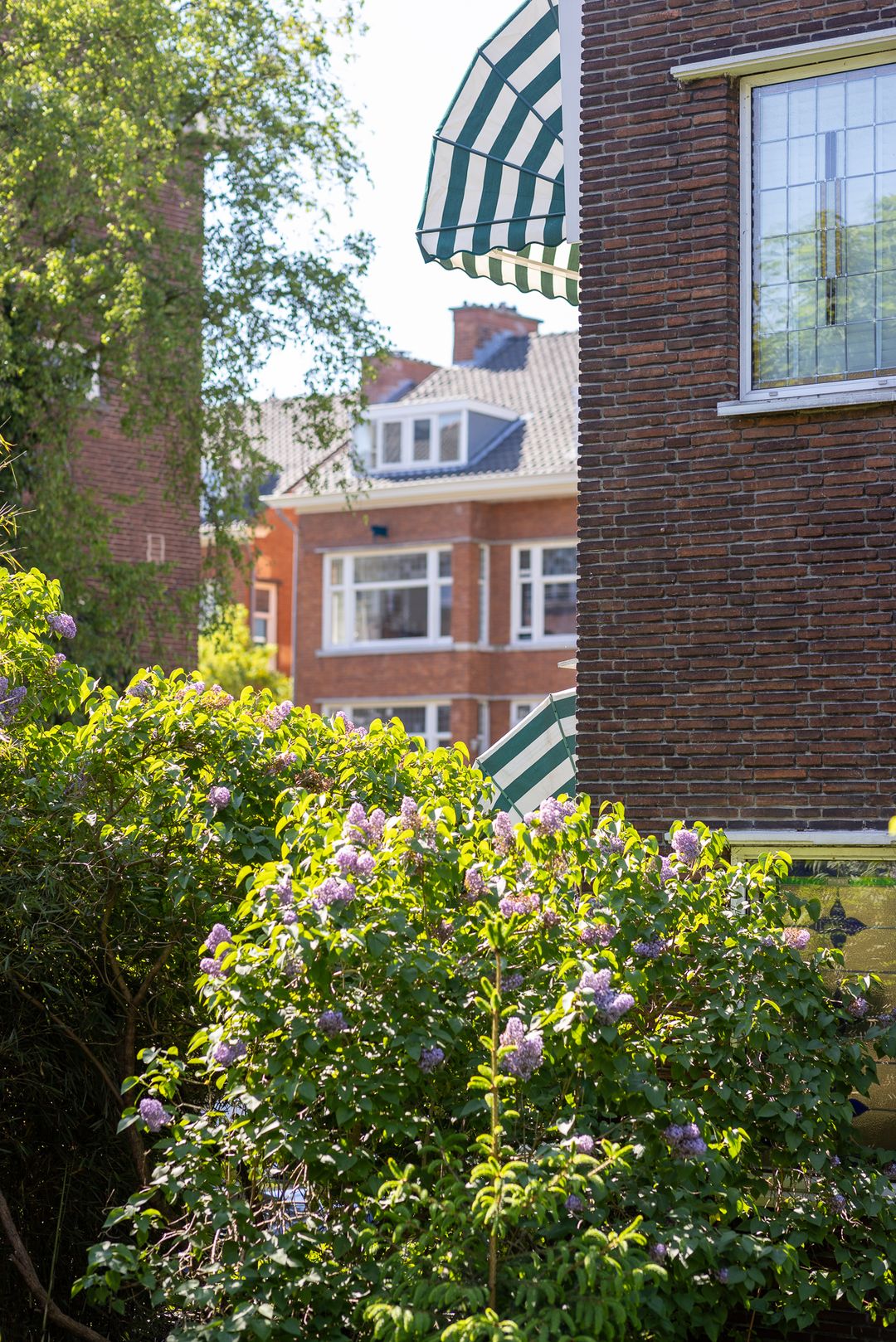 Foto 41 van Statensingel 149-BGL