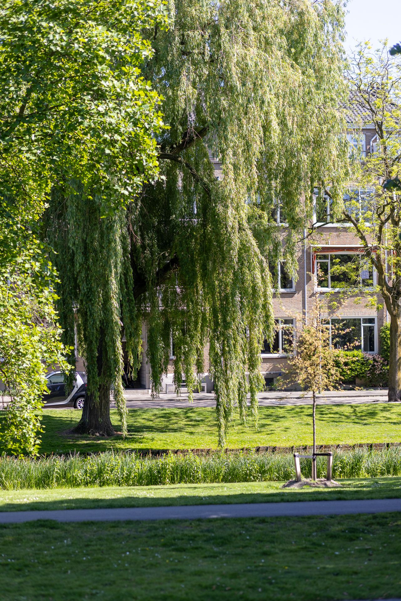 Foto 45 van Statensingel 149-BGL