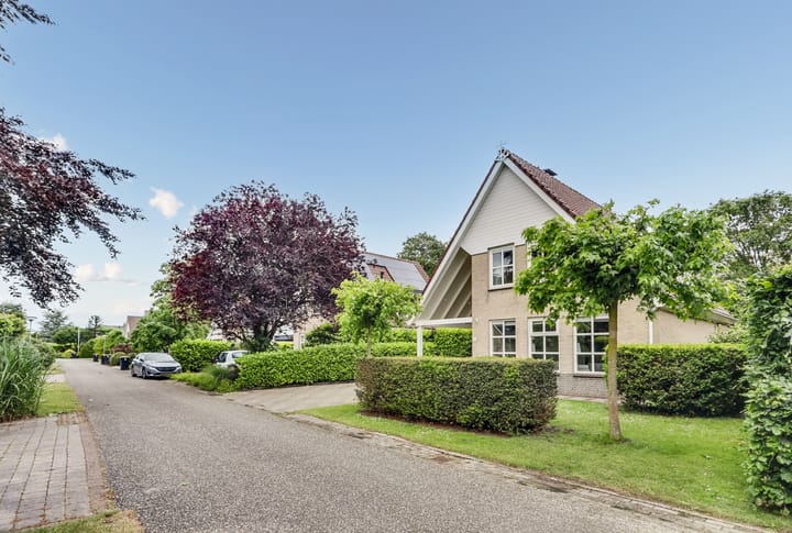 Foto 5 van Grevelingenhout 6