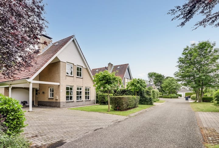 Foto 38 van Grevelingenhout 6