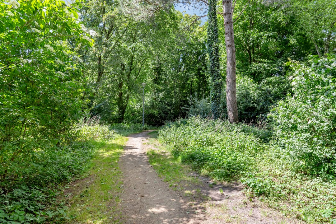 Photo 31 of Larixlaan 15