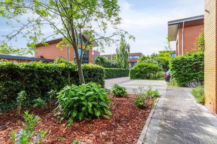 Foto 3 van Rozentuin 4