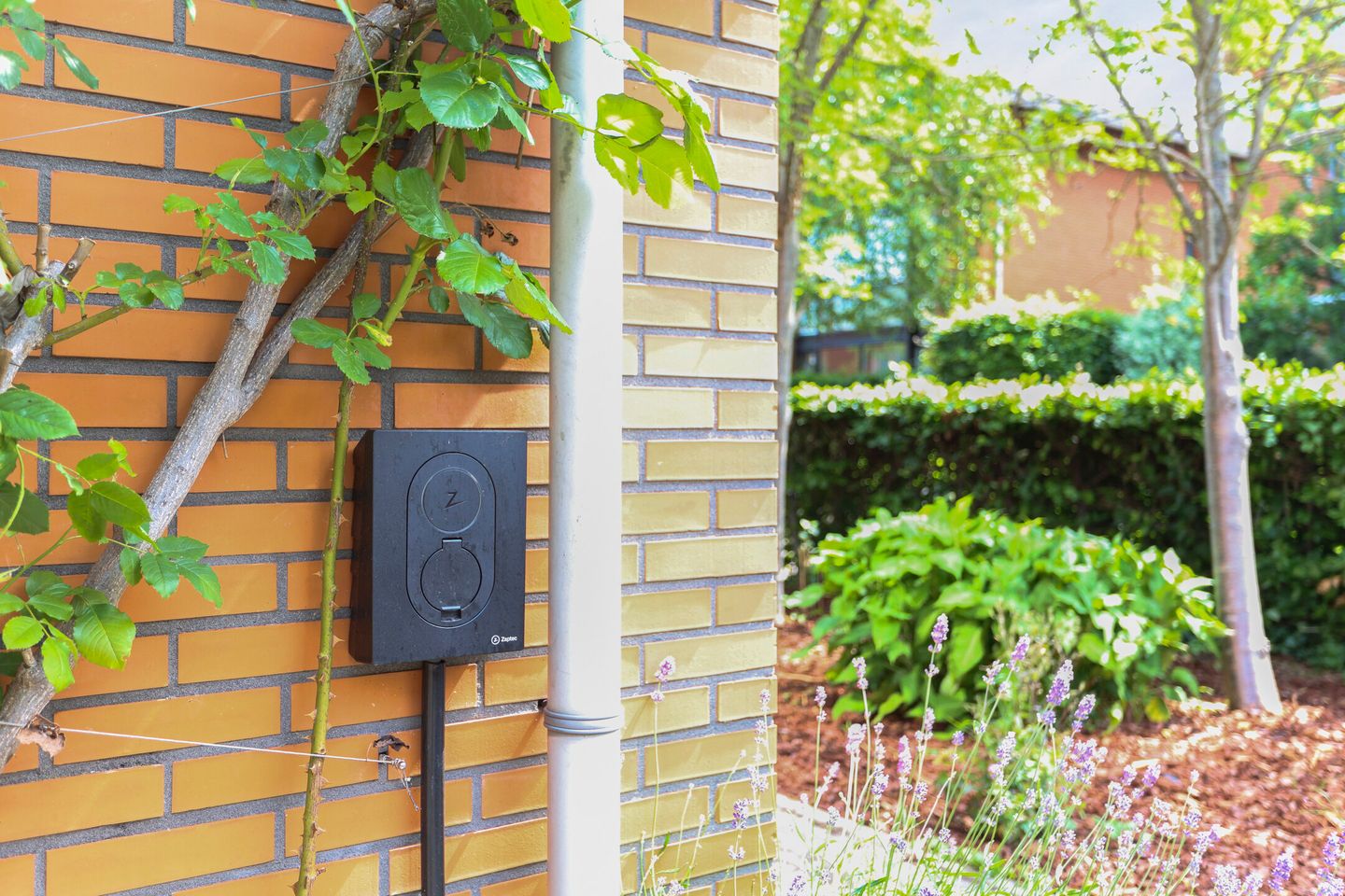 Foto 5 van Rozentuin 4