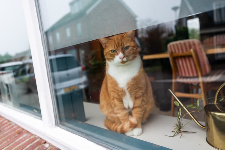 Foto 46 van Dorpsstraat 172