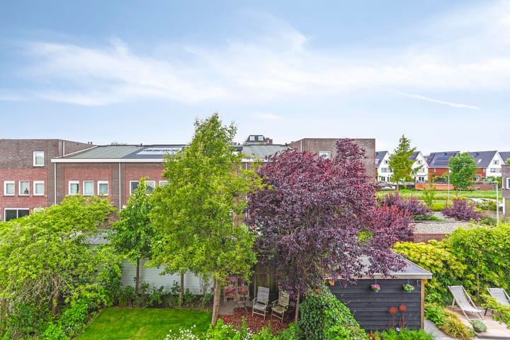 Foto 50 van Rozentuin 4