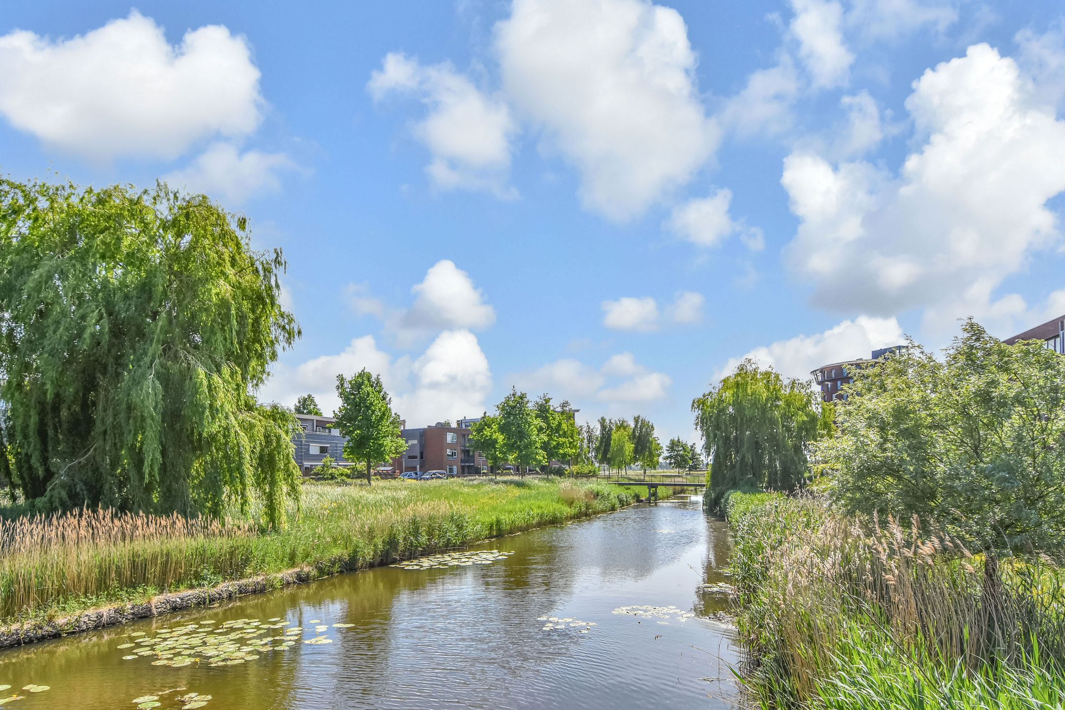 Foto 51 van Rozentuin 4