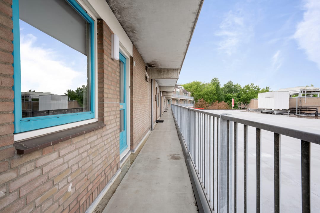 Photo 7 of Schoonhout 131