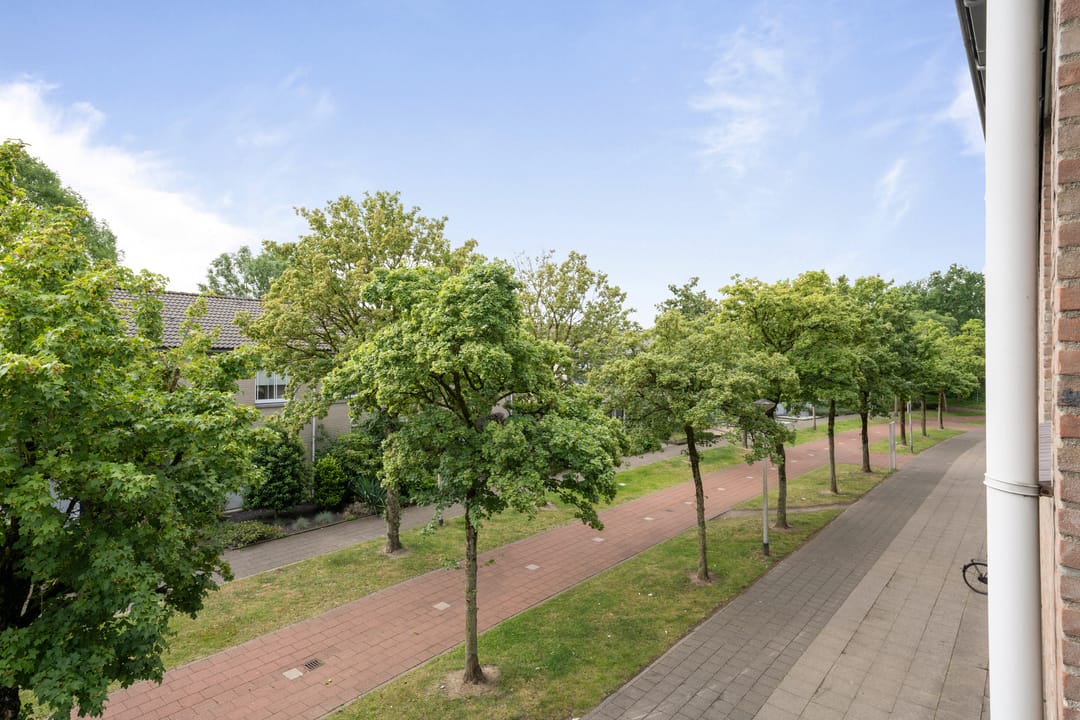 Photo 22 of Schoonhout 131