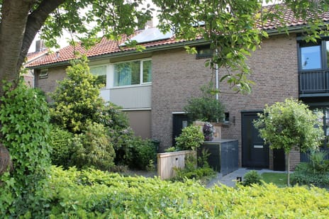 undefined main image