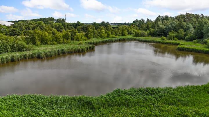 Foto 4 van Willinkbeek 18